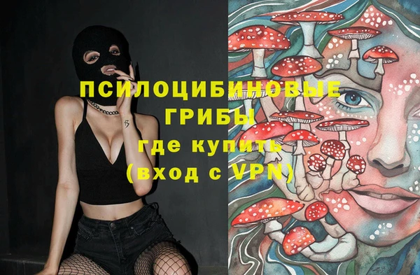 spice Абаза